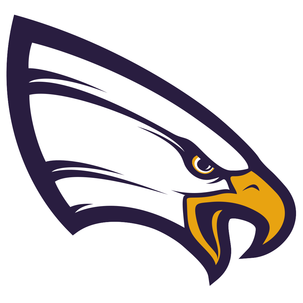 University of Northwestern-St. Paul Eagles Team Logo in PNG format