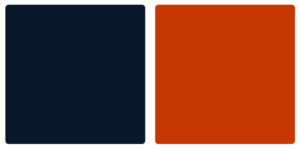 Chicago Bears Color Palette Image