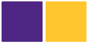 Minnesota Vikings Color Palette Image