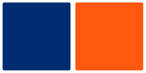 New York Mets Color Palette Image
