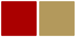 San Francisco 49ers Color Palette Image