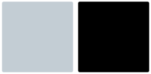 San Antonio Spurs Color Palette Image