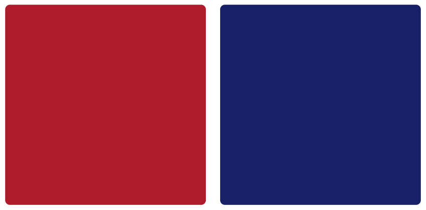 Montreal Canadiens Color Palette Image