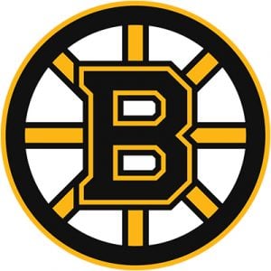 Boston Bruins Colors