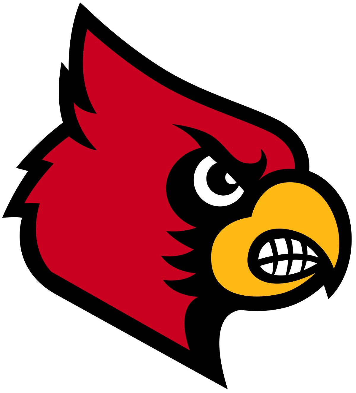 Campus Specialties Womens NCAA Louisville Cardinals Color Block