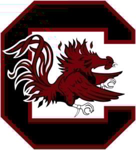 South Carolina Gamecocks Colors