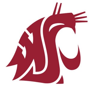 Washington State Cougars Colors