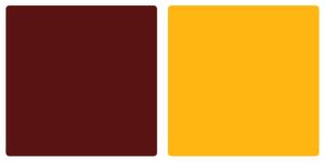 Washington Football Team Color Palette Image