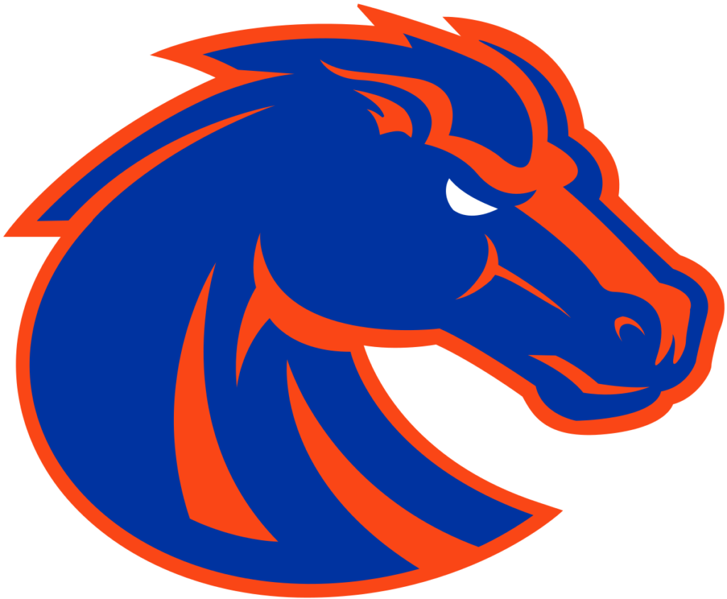 Boise State Broncos Color Codes Hex, RGB, and CMYK Team Color Codes
