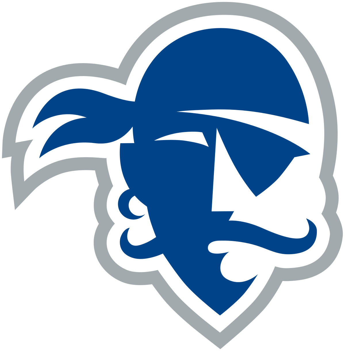 Seton Hall Pirates Color Codes Hex, RGB, and CMYK - Team Color Codes