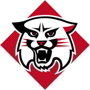 Davidson Wildcats Colors