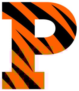 Princeton Tigers Colors