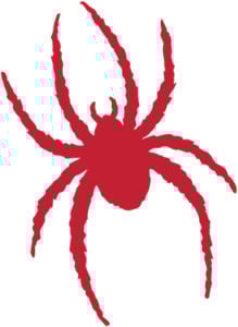 Richmond Spiders Colors
