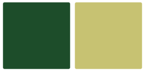 Colorado State Rams Color Palette Image
