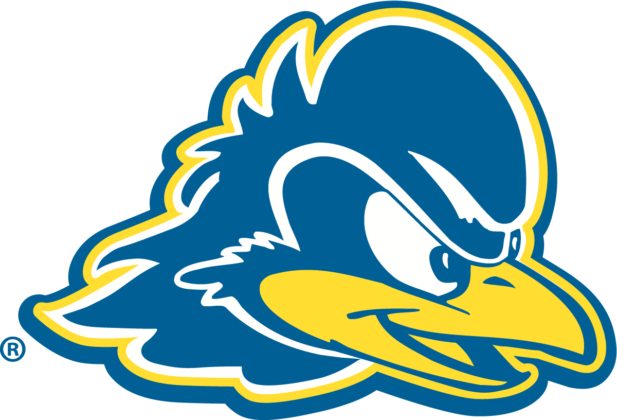 Delaware Blue Hens Colors Hex, RGB, and CMYK Team Color Codes