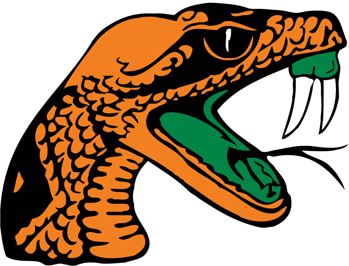 Florida A&M Rattlers Colors Hex, RGB, and CMYK  Team Color Codes