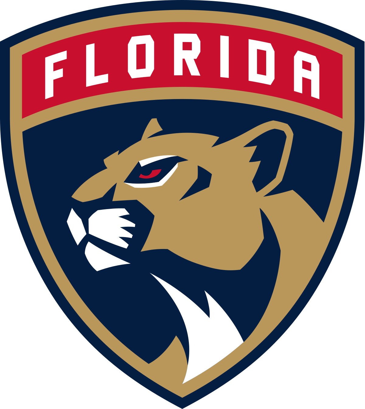 Florida Panthers Colors Hex, RGB, CMYK Team Color Codes