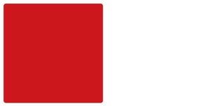 Denmark National Football Team Color Palette Image