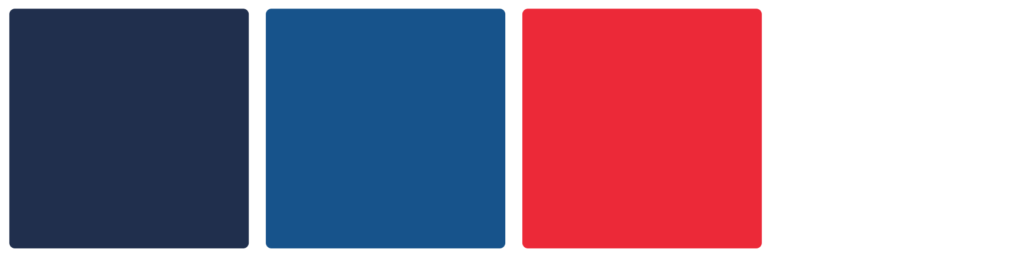 France National Football Team Color Palette Image