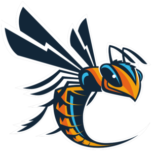 Cedarville Yellow Jackets Logo in PNG Format