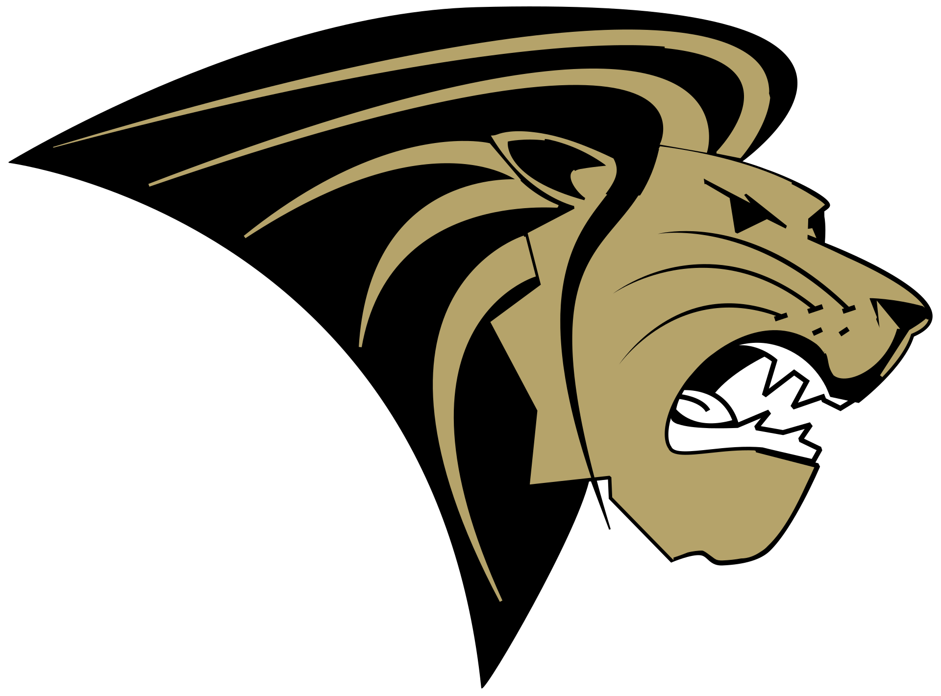 Lindenwood Lions Color Codes Hex Rgb And Cmyk Team Color Codes 6352