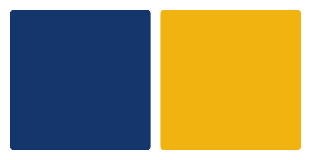 Montana State Billings Yellowjackets Color Palette Image