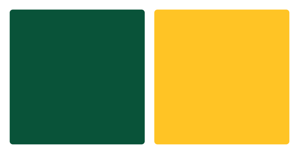 Northern Michigan Wildcats Color Palette Image