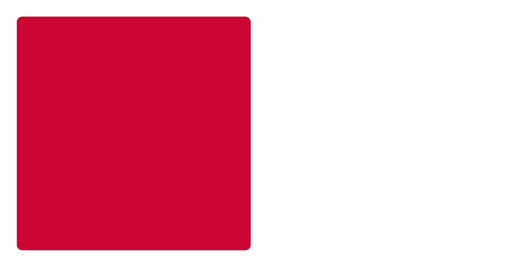 Simon Fraser Athletics Color Codes Hex, RGB, and CMYK Team Color Codes