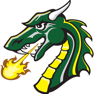 Tiffin Dragons Color Codes Hex, RGB, and CMYK - Team Color Codes