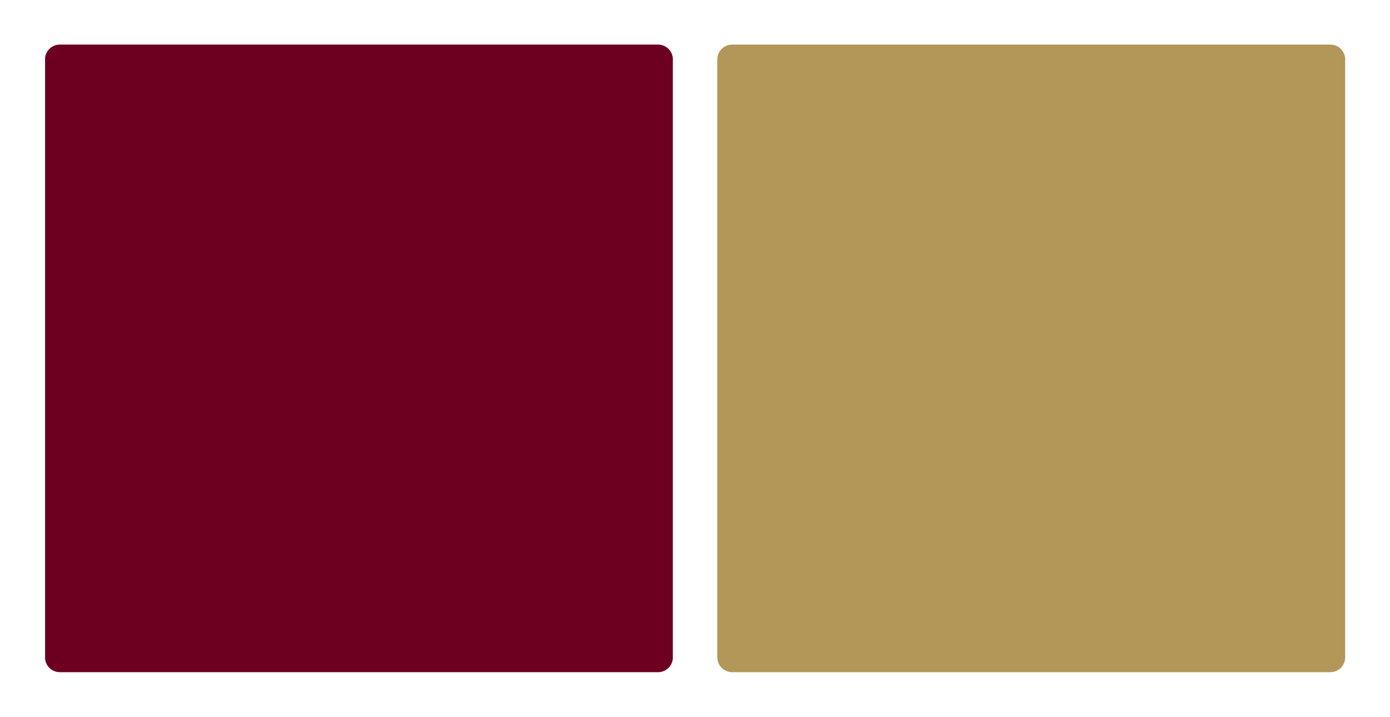 Cleveland Cavaliers flag color codes