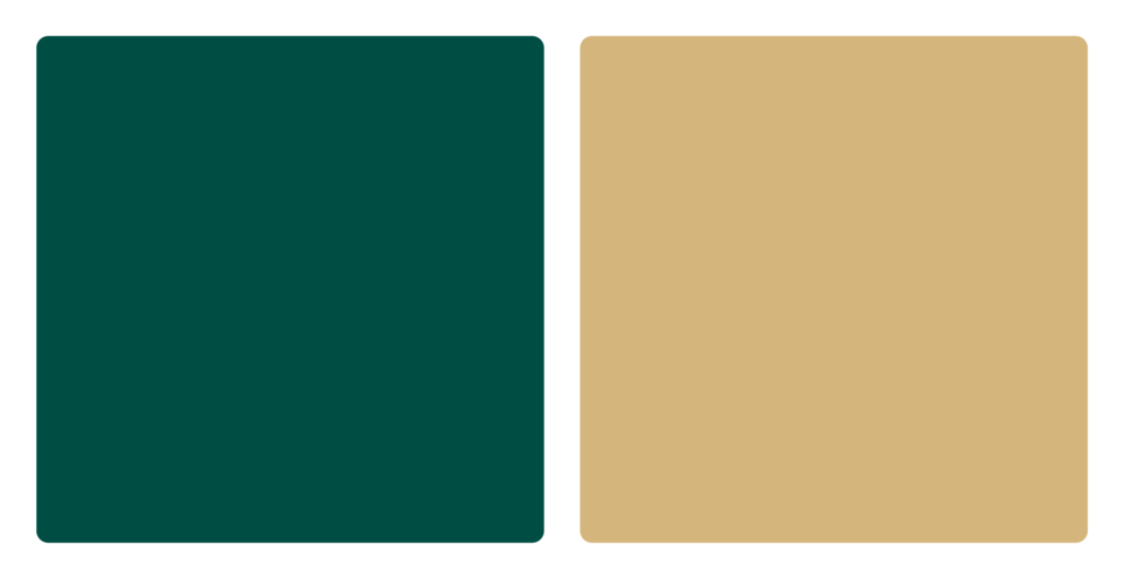Bemidji State Beavers Color Palette Image