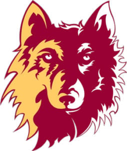 Northern State Wolves Logo in JPG Format