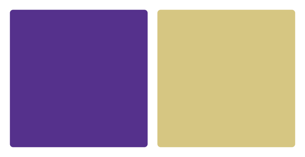 Saint Michaels Purple Knights Color Palette Image