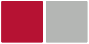 Belmont Abbey Crusaders Color Palette Image