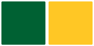Black Hills State Yellow Jackets Color Palette Image