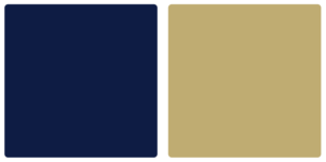 Bluefield State College Big Blues Color Palette Image