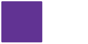 Bridgeport Purple Knights Color Palette Image