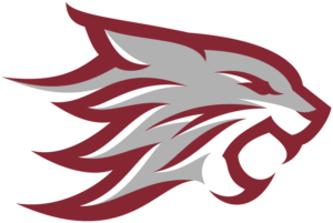 Chico State Wildcats Colors