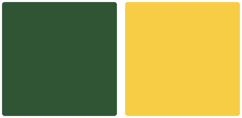 Philadelphia Eagles Color Codes Hex, RGB, and CMYK - Team Color Codes