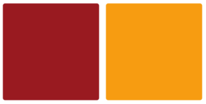 District of Columbia Firebirds Color Palette Image