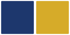 Emory and Henry Wasps Color Palette Image