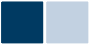 Queens College Knights Color Palette Image