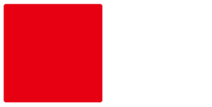 Tunisia National Football Team Color Palette Image
