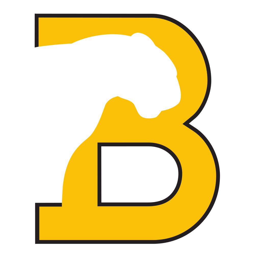 Birmingham-Southern College Panthers Team Logo in JPG format