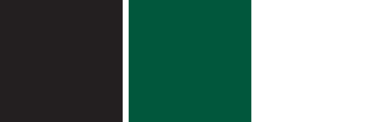 Castleton University Spartans Color Palette Image