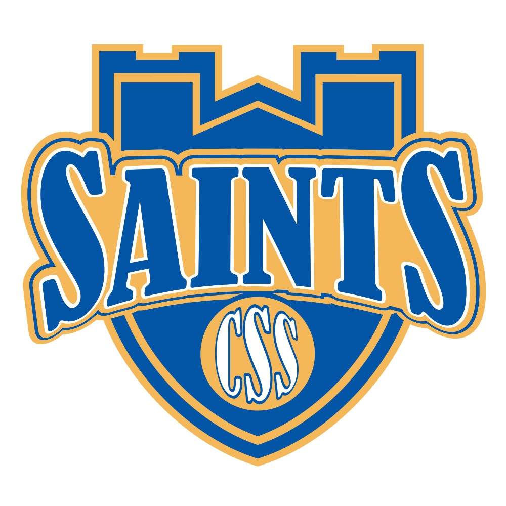 College of St. Scholastica Saints Color Codes Hex, RGB, and CMYK - Team  Color Codes