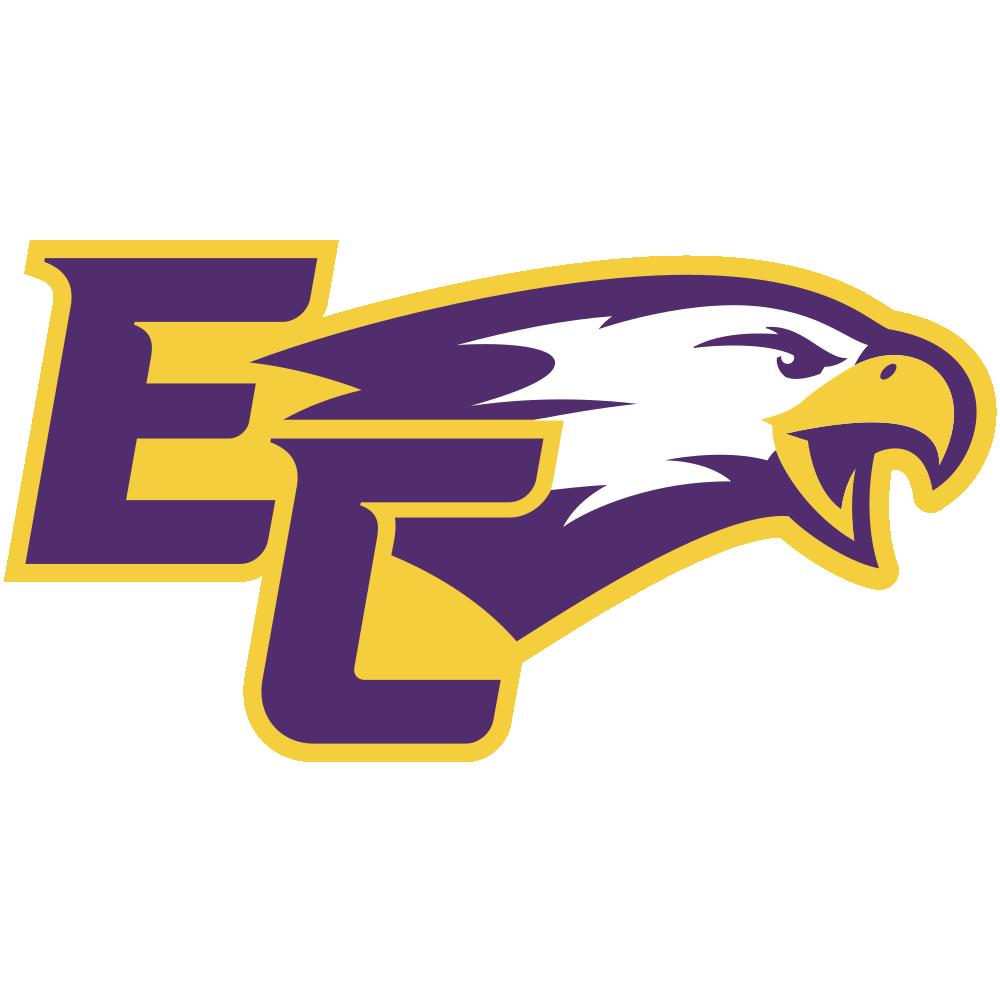Elmira College Soaring Eagles Team Logo in JPG format