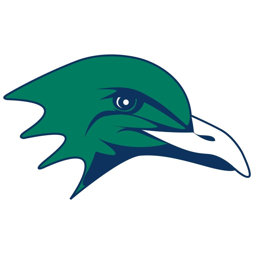 Endicott College Gulls Team Logo in JPG format