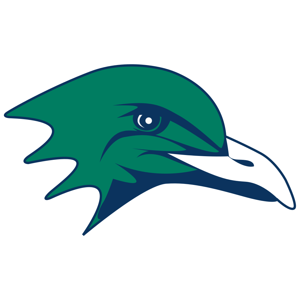 Endicott College Gulls Team Logo in PNG format