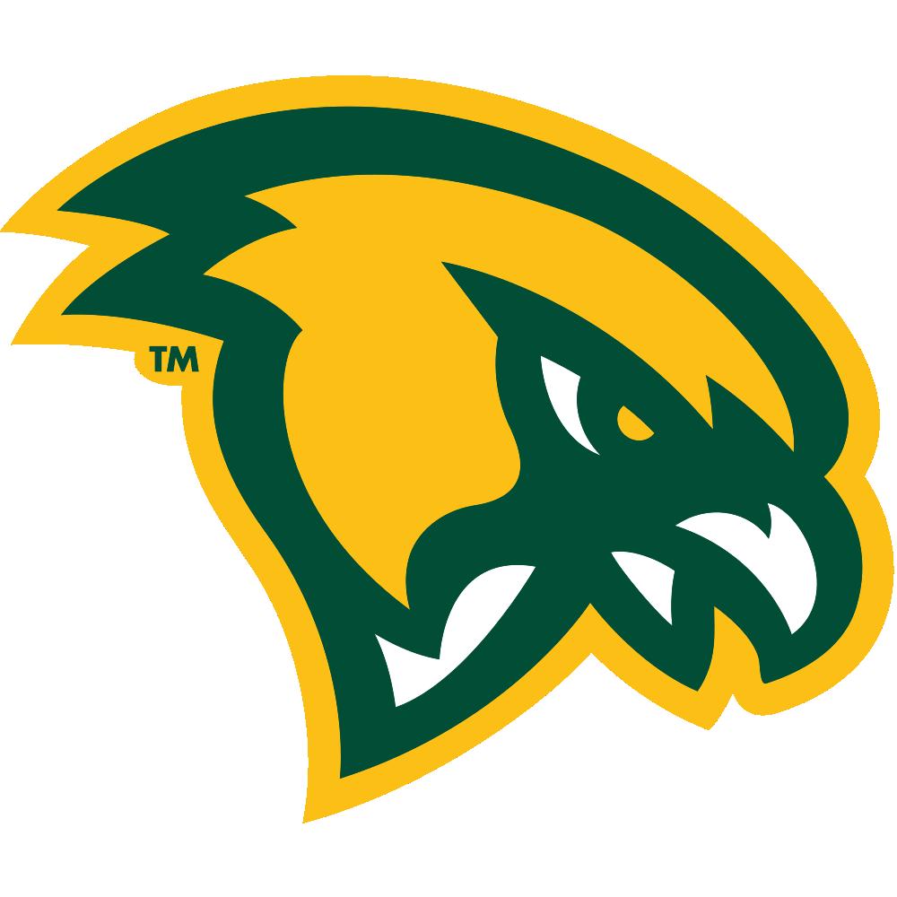 Fitchburg State University Falcons Team Logo in JPG format